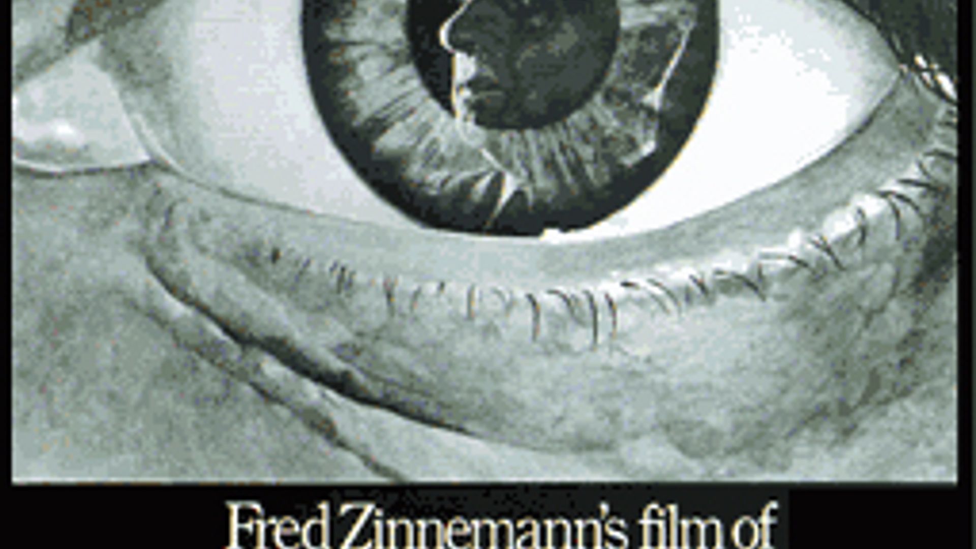 ジャッカルの日 1973 watcha pedia