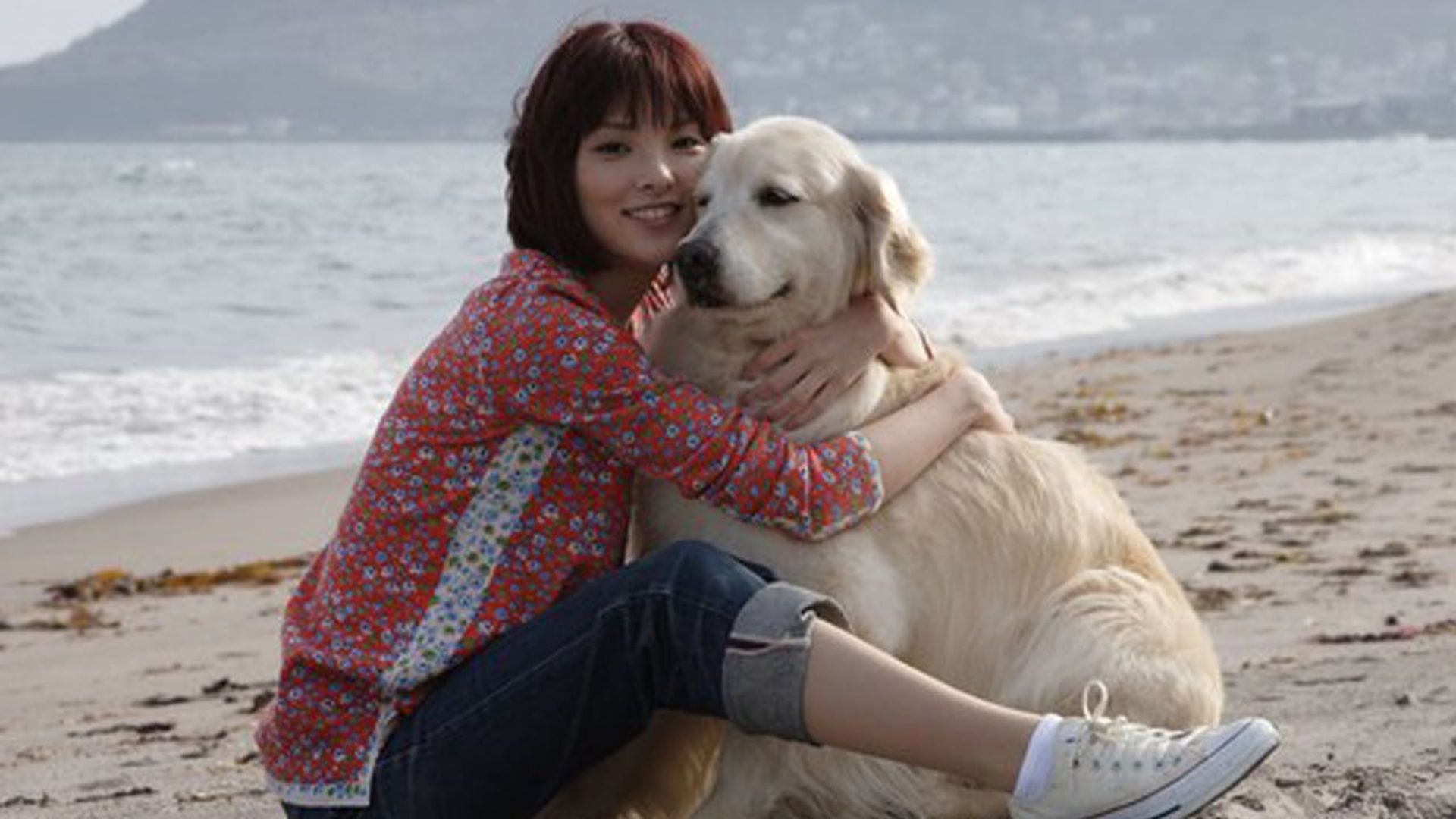 Стихотворение про пса. Я и моя собака. Как я была собакой. Щенки немецкой овчарки с мамой. Как я была собакой.