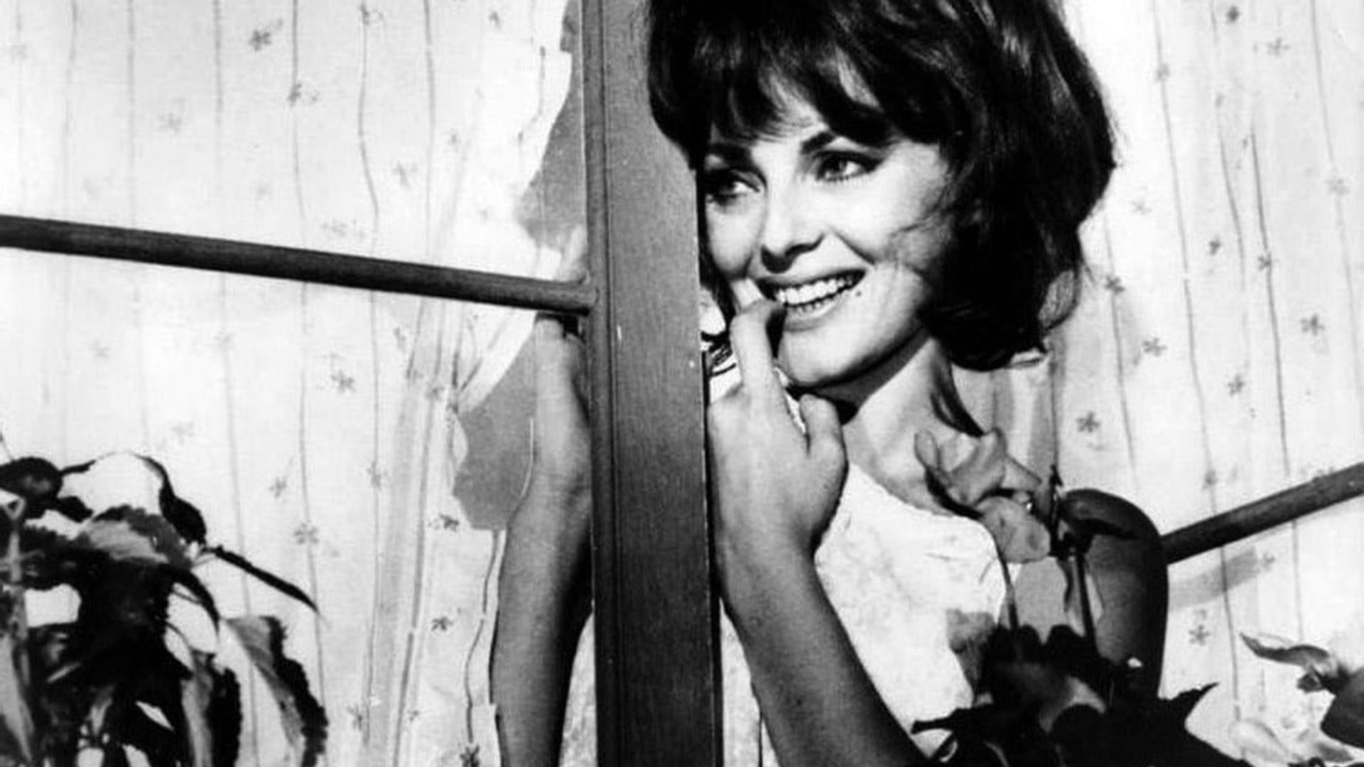 Вирна лизи итальянская актриса. She is in her sixties. Jane asher 60's. She is in her sixties. She is in her sixties.