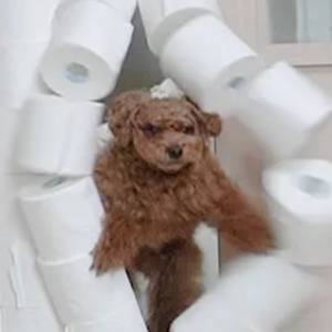 지원