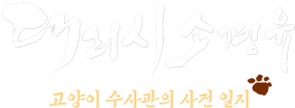 대리시소경유: 고양이 수사관의 사건 일지