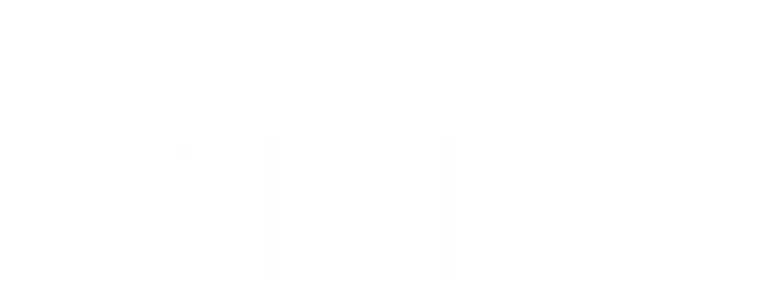 앵그리버드 피기테일즈