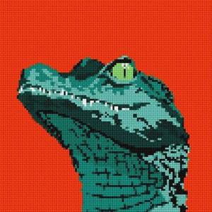 미드변태 크로커다일