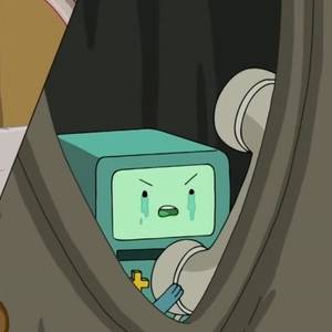 팡팡 우는 비모