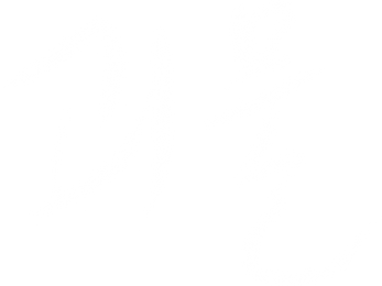 괴물