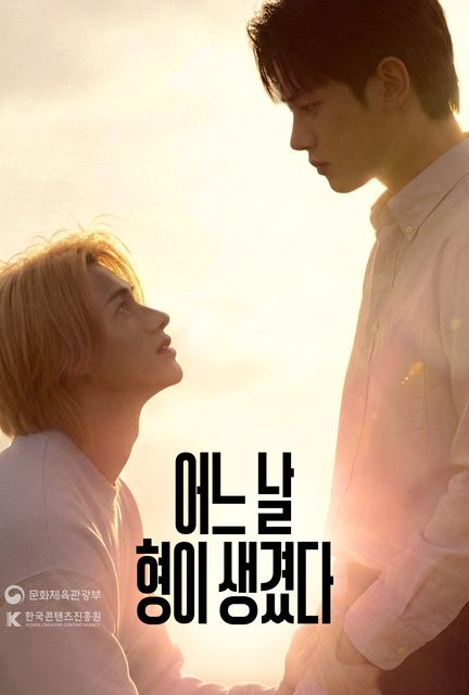 어느 날 형이 생겼다 포스터