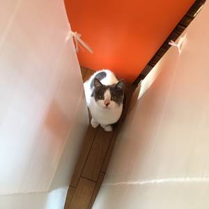 抜け出せない映画はどこにあるのだろう