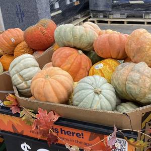 Pummmmmpkin