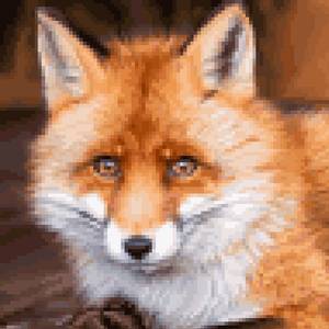 냄새나는 복학생 언니