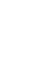 타짜