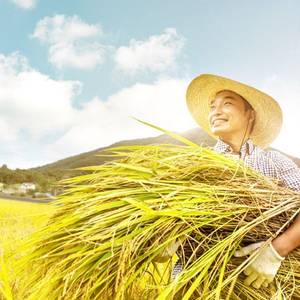 고랭지농업종사자