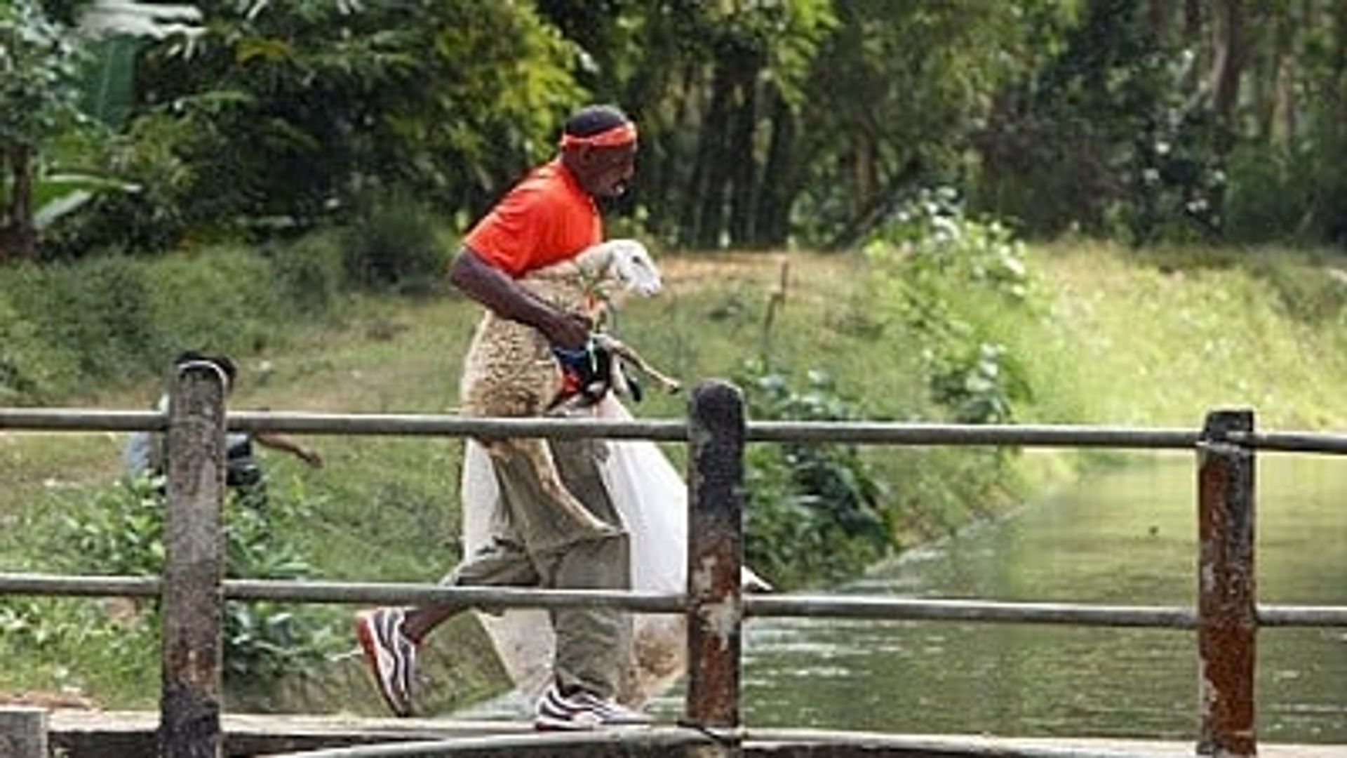 The Amazing Race Season 19 (2011) - Watcha Pedia