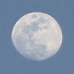 이세상에보고싶은영화가너무많다