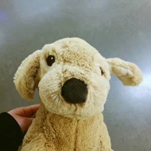 빛나는 닭볶음탕