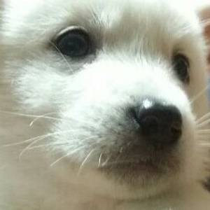 ๋ก๊ตฌ๐พ