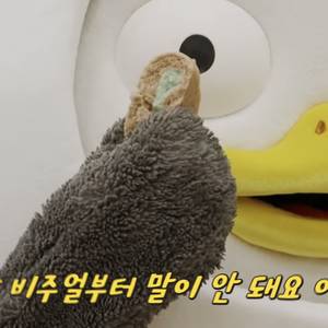 펭슈슈