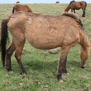 隣の映画初心者