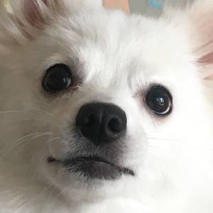 숨겨진영화덕후오기