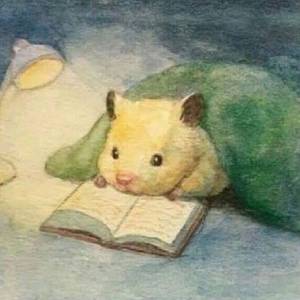 준오가보는세상