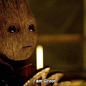 그루그루그루트