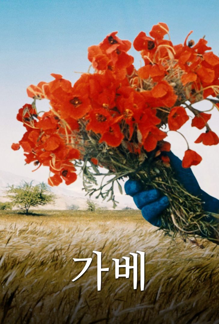 가베 가베