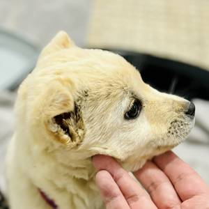 그냥영화많이보는사람