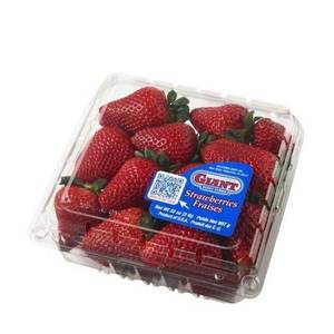 섹시다이너마이트