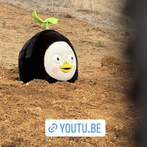 위대한 성운-(Nebula)