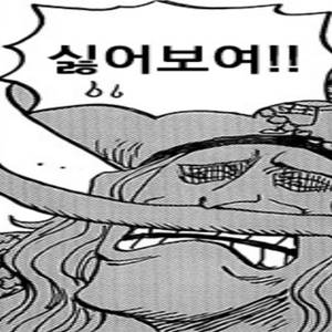 YQ최