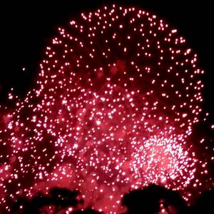 그냥그저그런더쿠