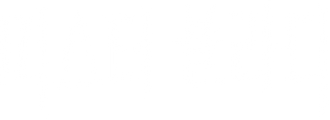 미스터 블라디