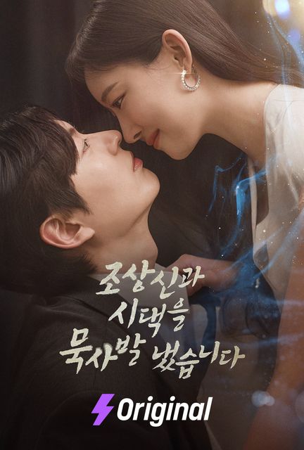 조상신과 시댁을 묵사발냈습니다 포스터