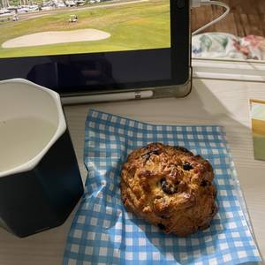 세상의좋은영화를모두볼수있다면