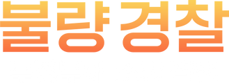 불량 경찰 : 부정부패 소탕 작전