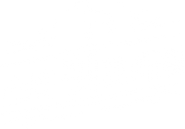 스타 펫 트래블