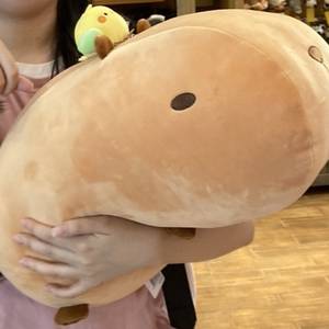 행복한 카피바라