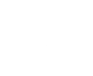 링 2