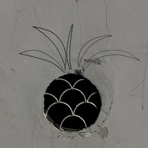 파인을 먹은 사람들