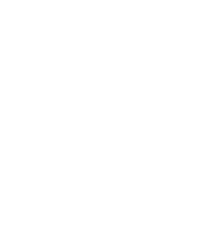 집