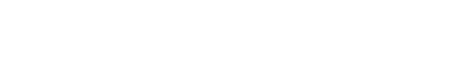 인 더 플레쉬