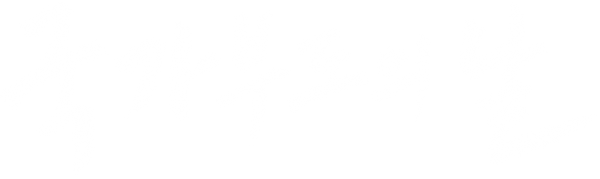 국가부도의 날