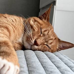 ์๋๐โค๏ธโ๐ฅ