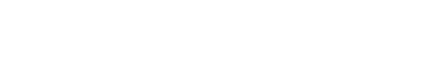 약속의 네버랜드