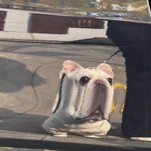 한 줄평과 대사 한 줄