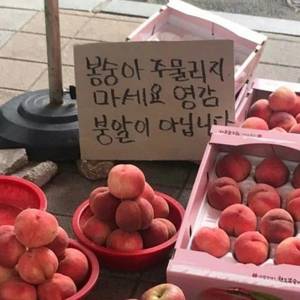최재영