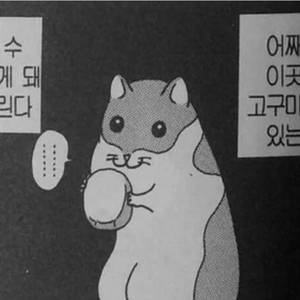 멈머