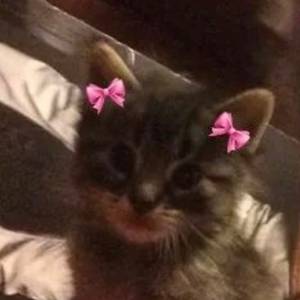 오토바이를 탄 천사