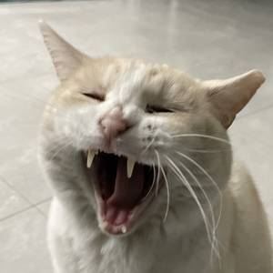 수빈