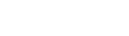 배니싱 트윈