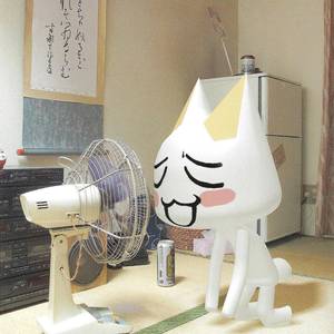 쭝꼬